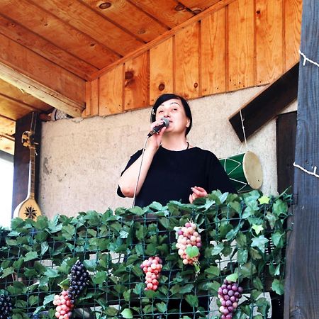 Nadia Guesthouse Mestia Dış mekan fotoğraf