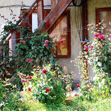 Nadia Guesthouse Mestia Dış mekan fotoğraf