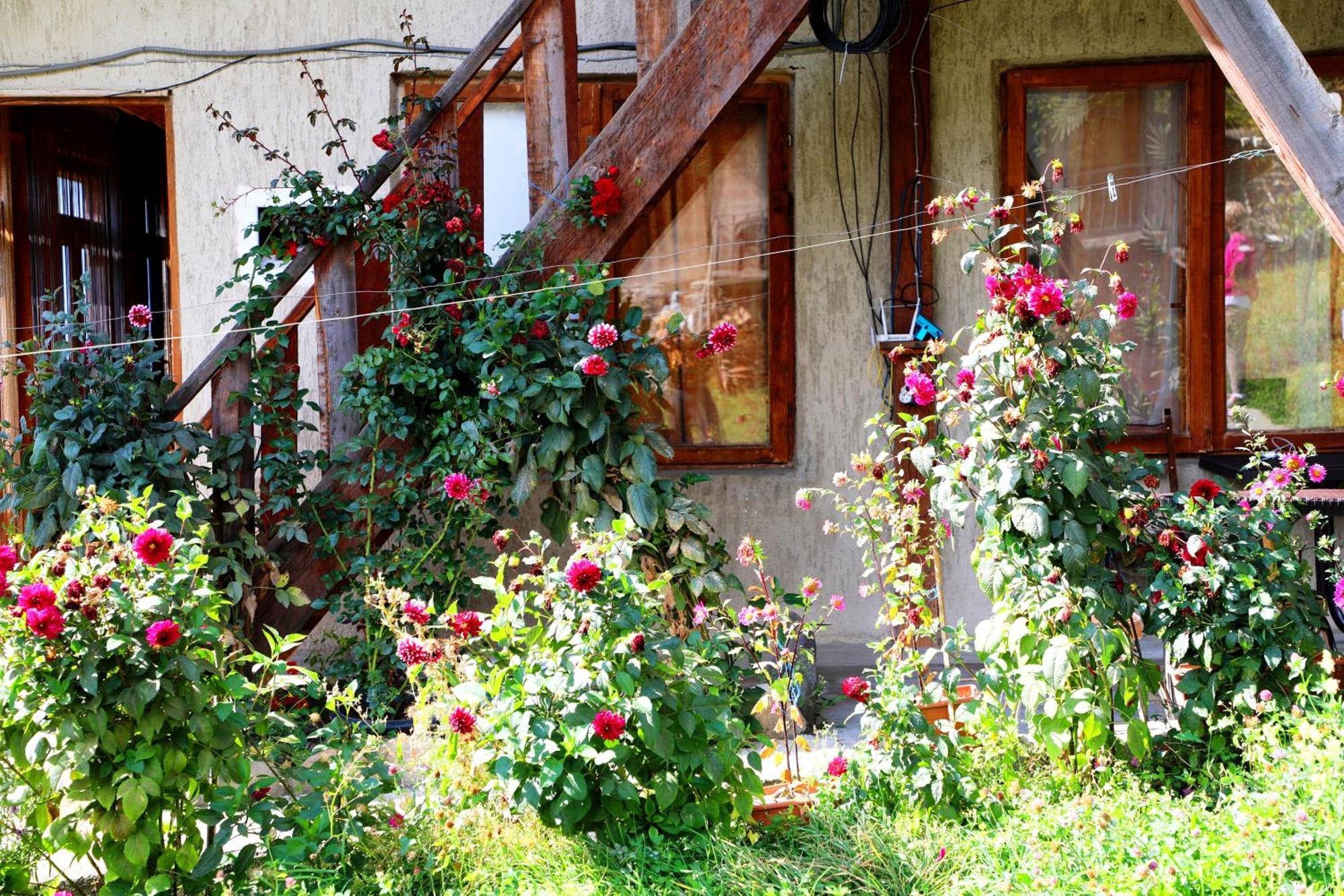 Nadia Guesthouse Mestia Dış mekan fotoğraf